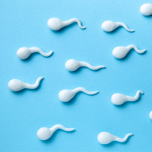 Spotlight on Healthy Sperm: How BIOXGENIC POWER FINISH Can Help